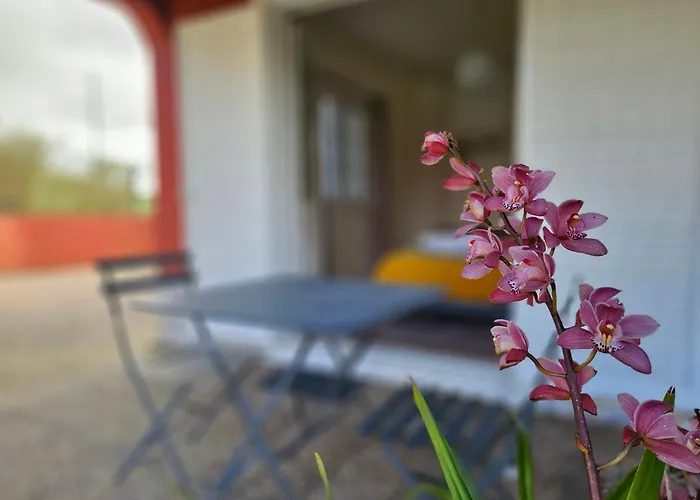 A Casa Do Comandante - Piscina E Jardim 拉戈阿