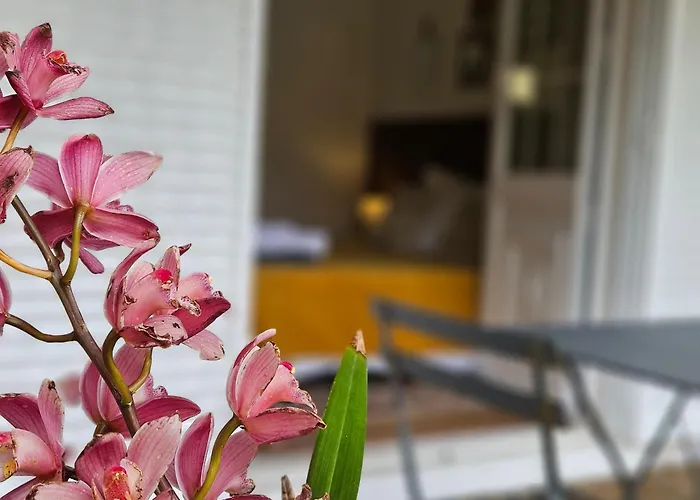 A Casa Do Comandante - Piscina E Jardim 招待所